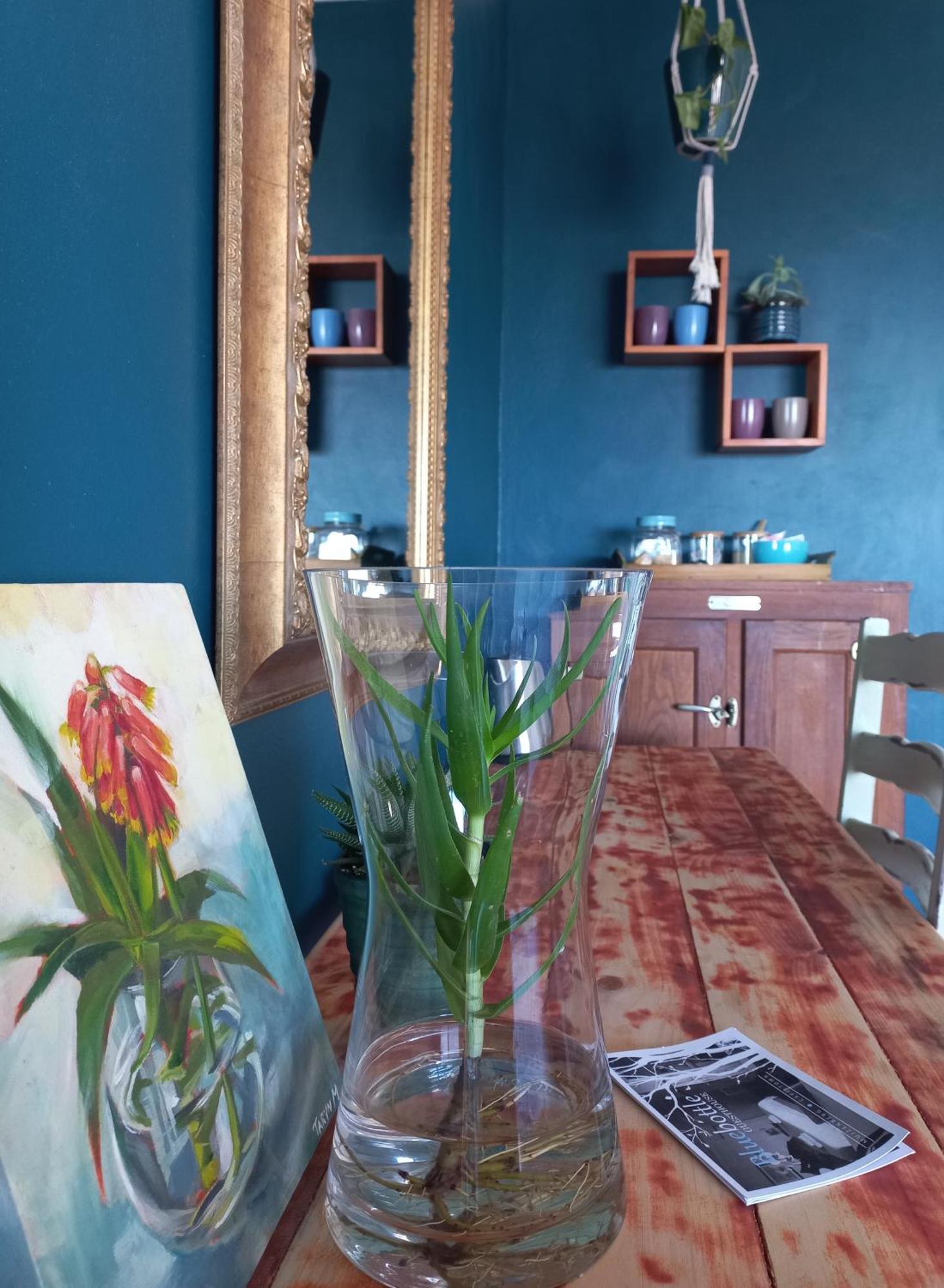 Bluebottle Guesthouse Muizenberg Zewnętrze zdjęcie